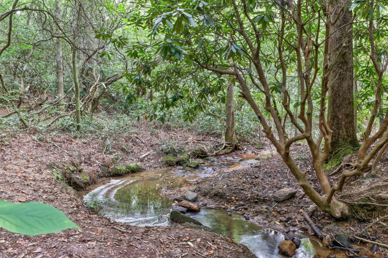 Four Cubs In The Creek Villa Sautee Nacoochee Exterior photo